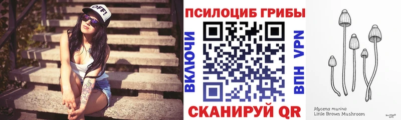 Псилоцибиновые грибы Magic Shrooms  Гвардейск 