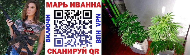 darknet наркотические препараты Гвардейск МАРИХУАНА индика